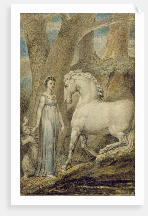 The Horse by William Blake