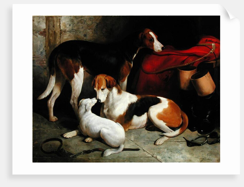 A Couple of Lord Henry Bentinck's Foxhounds with a Terrier, c.1845 by William Barraud