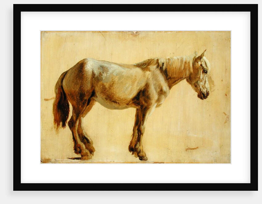 Study of a Grey Horse by Jacques-Laurent Agasse