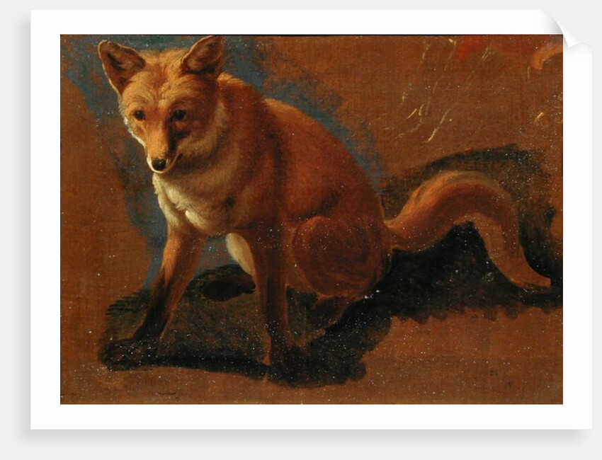 Study of a Fox by Jacques-Laurent Agasse