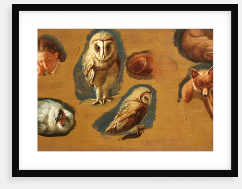 Studies of a Fox, a Barn Owl, a Peahen and a Young Man's Head by Jacques-Laurent Agasse