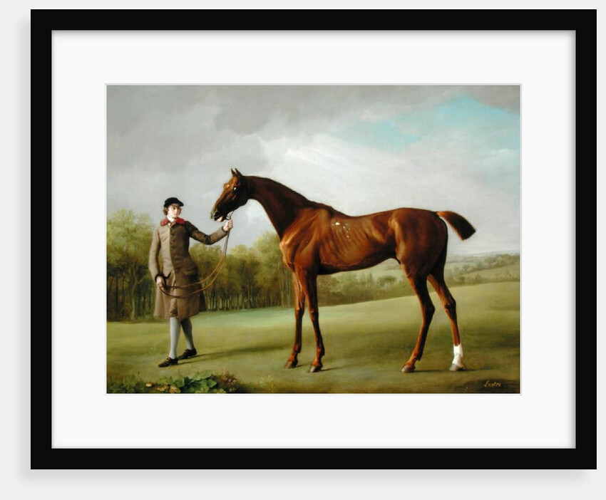 Lustre, held by a Groom, c.1760-62 by George Stubbs