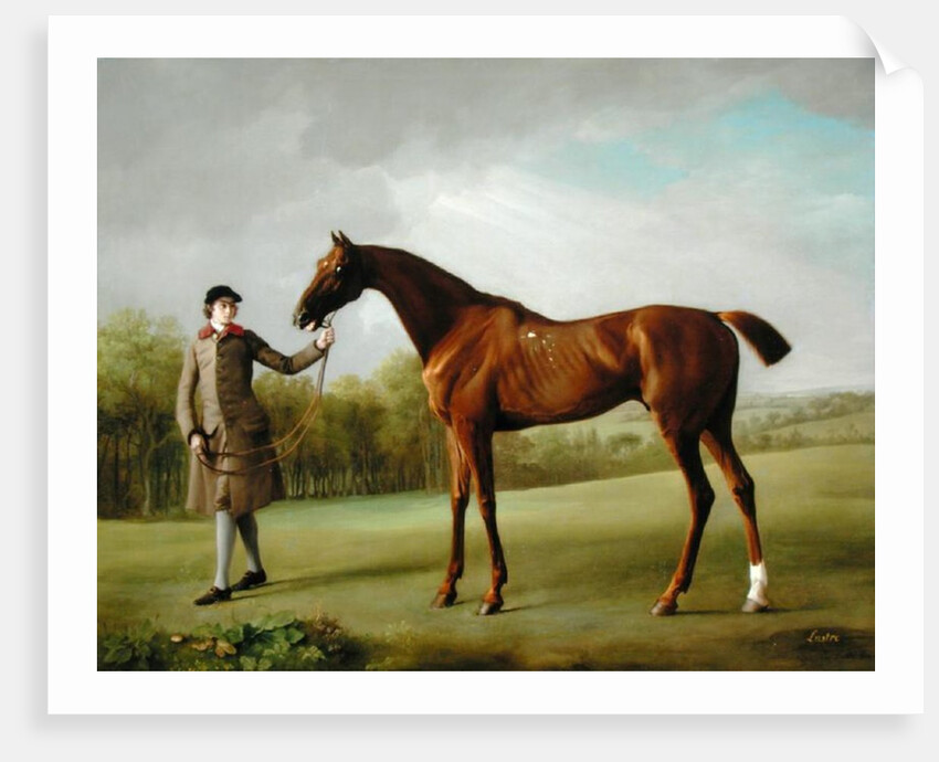 Lustre, held by a Groom, c.1760-62 by George Stubbs