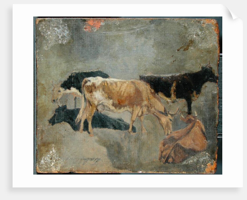 Study of Five Horned Cattle by John Constable
