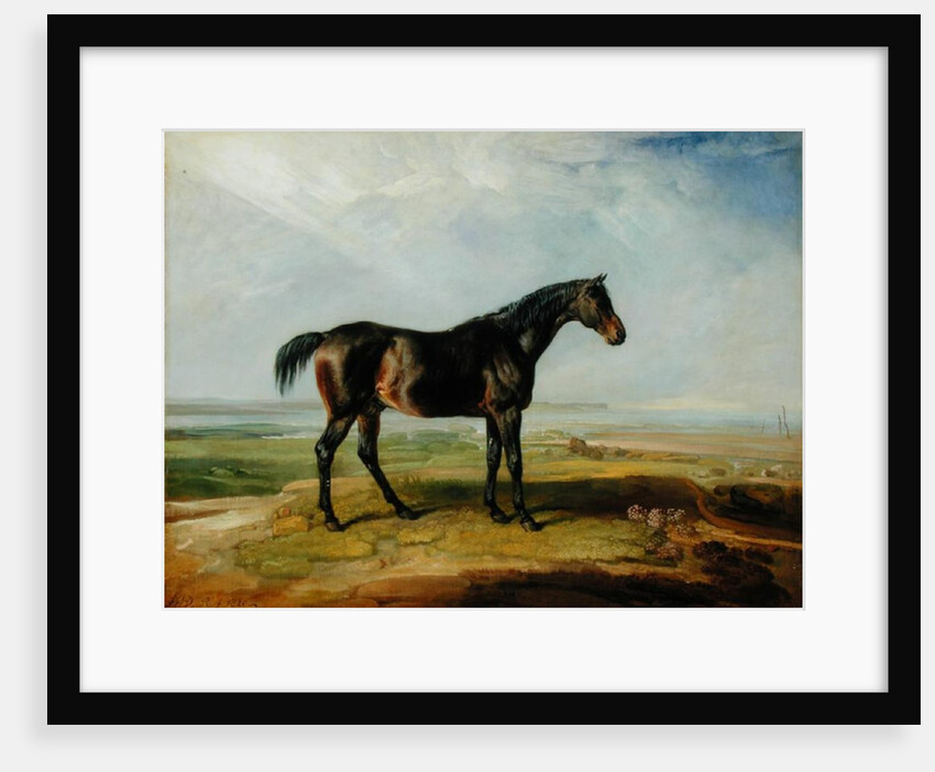 Dr. Syntax, a bay racehorse, standing in a coastal landscape, an estuary beyond by James Ward