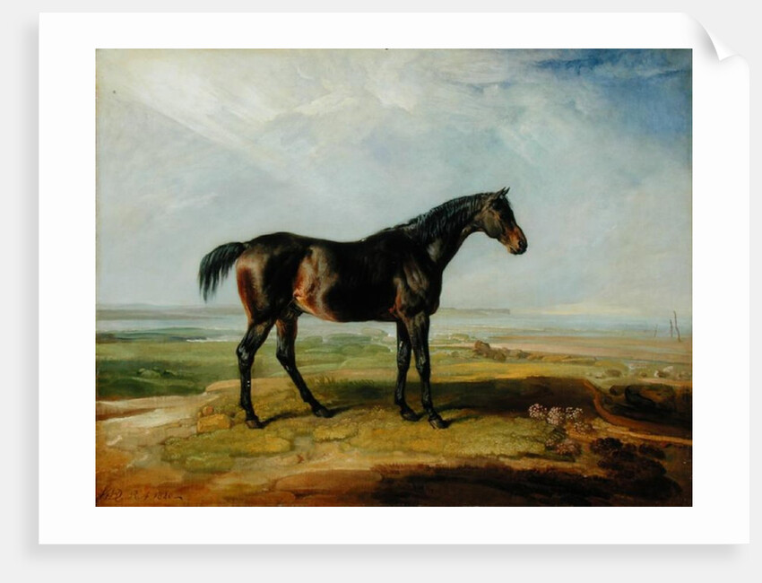 Dr. Syntax, a bay racehorse, standing in a coastal landscape, an estuary beyond by James Ward