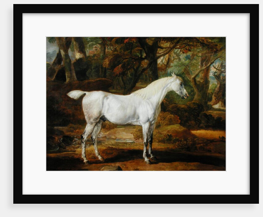 A Grey Arabian Stallion, the Property of Sir Watkin Williams-Wynn, c.1815-20 by James Ward