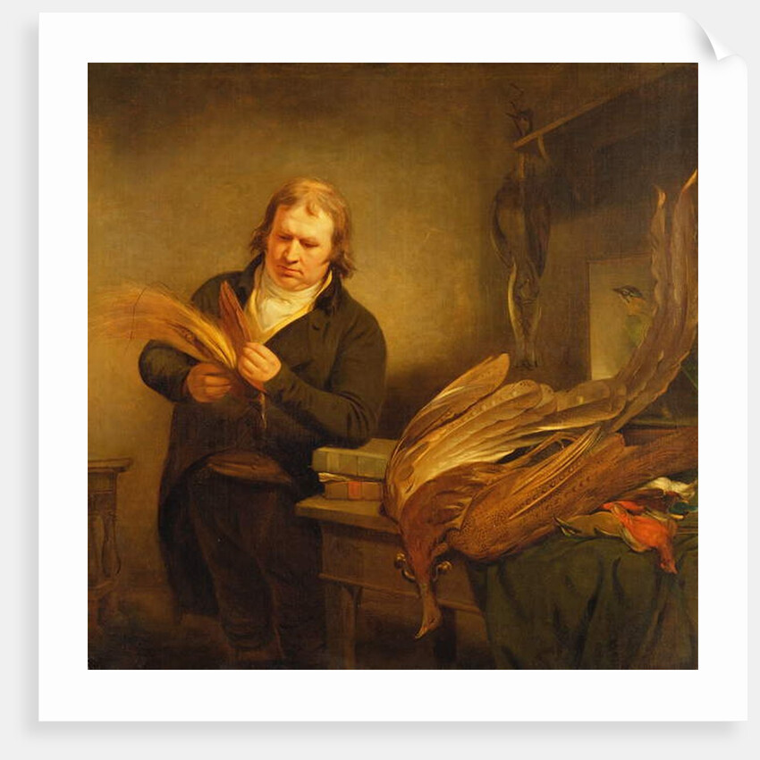An Ornithologist, probably Mr. Thomson, Animal and Bird Preserver to the Leverian and British Museums, 1802 by Ramsay Richard Reinagle