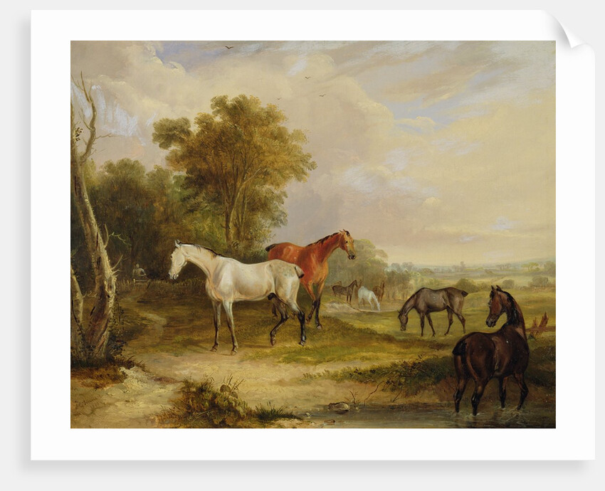 Horses Grazing: A Grey Stallion grazing with Mares in a Meadow by Francis Calcraft Turner