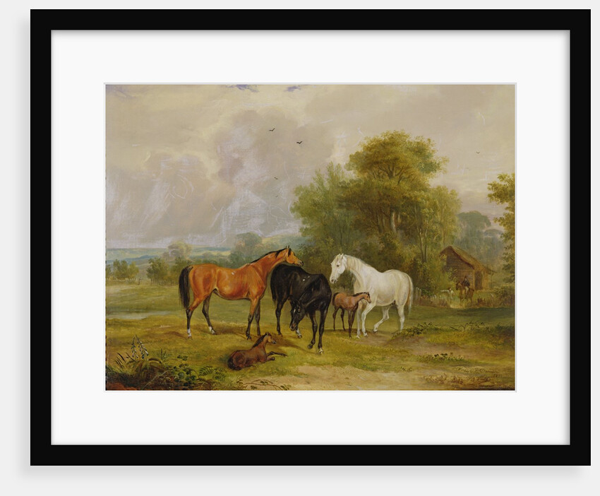 Horses Grazing: Mares and Foals in a Field by Francis Calcraft Turner