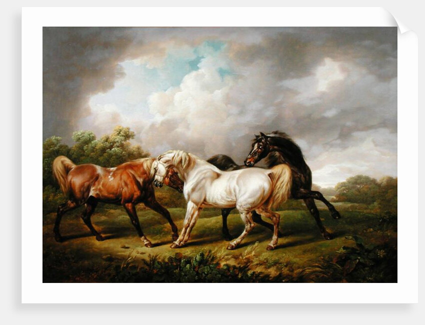 Three Horses in a Stormy Landscape by Charles Towne