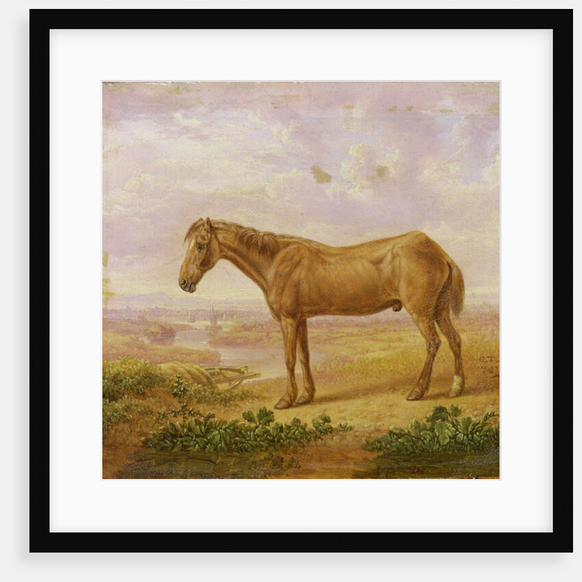 Old Billy, a Draught Horse, Aged 62 by Charles Towne