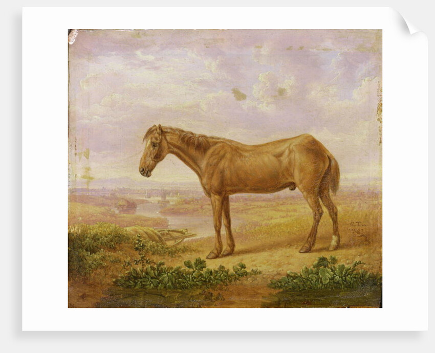 Old Billy, a Draught Horse, Aged 62 by Charles Towne