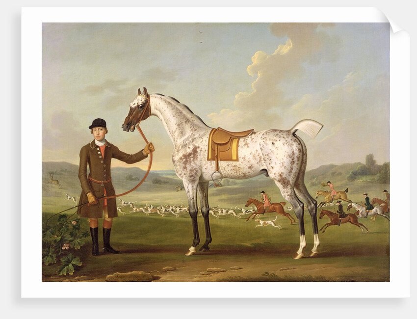 Scipio, Colonel Roche's Spotted Hunter, c.1750 by Thomas Spencer