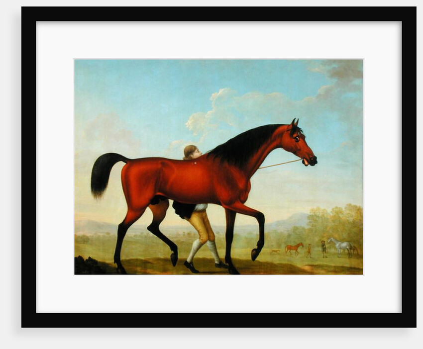 The Duke of Ancaster's Bay Stallion, Blank, walking towards a Mare by William Shaw