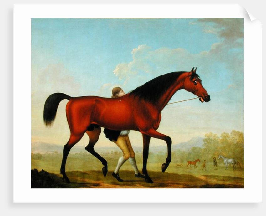 The Duke of Ancaster's Bay Stallion, Blank, walking towards a Mare by William Shaw