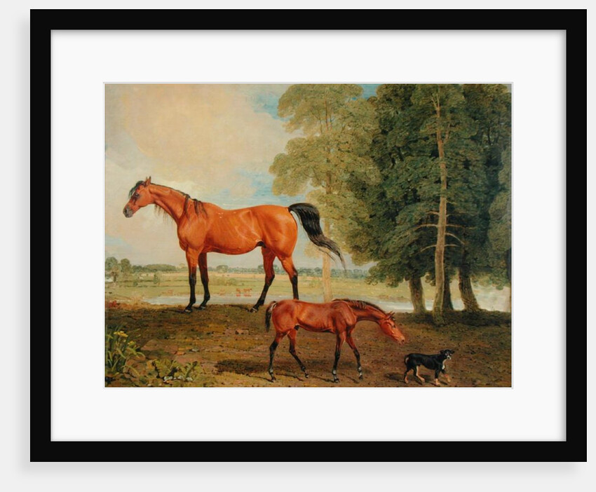 Broodmare with Foal and Terrier by Benjamin Marshall