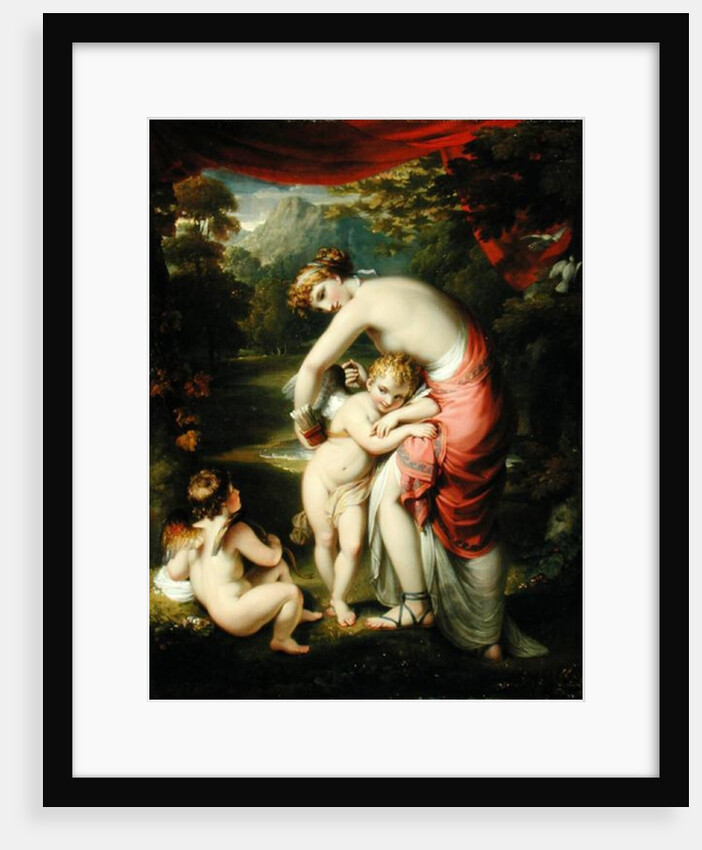 Venus and Cupid, 1809 by Henry Howard
