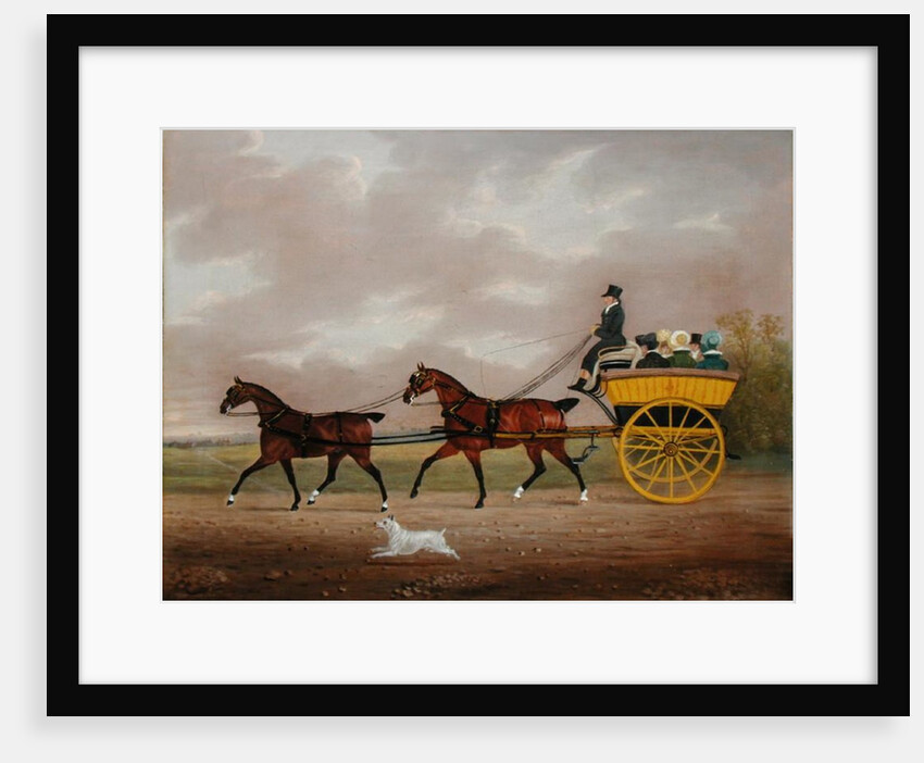 A Gentleman driving Tandem to a Jaunting Car by Edwin W. Cooper