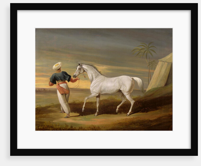 Signal, a grey Arab, with a Groom in the Desert by David of York Dalby
