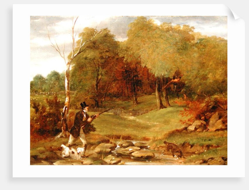 Pheasant Shooting by Edward Duncan
