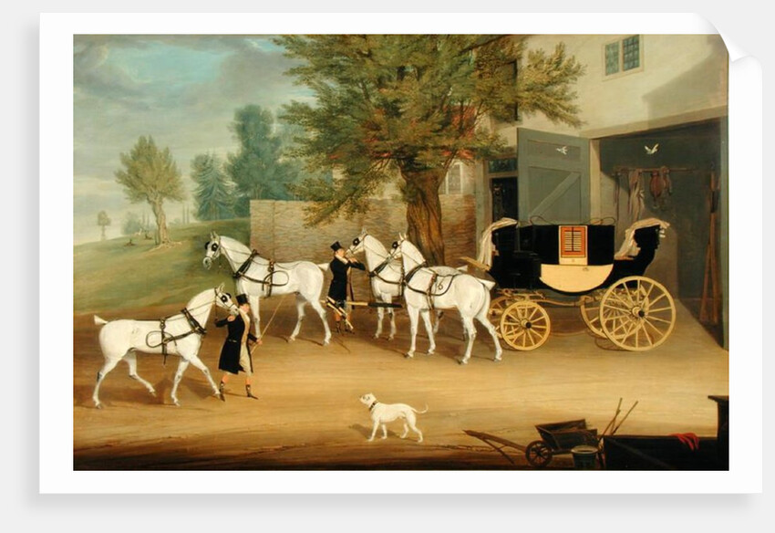 John Smith Barry's Private Drag and Grey Team at Marbury Hall, Cheshire by James Pollard