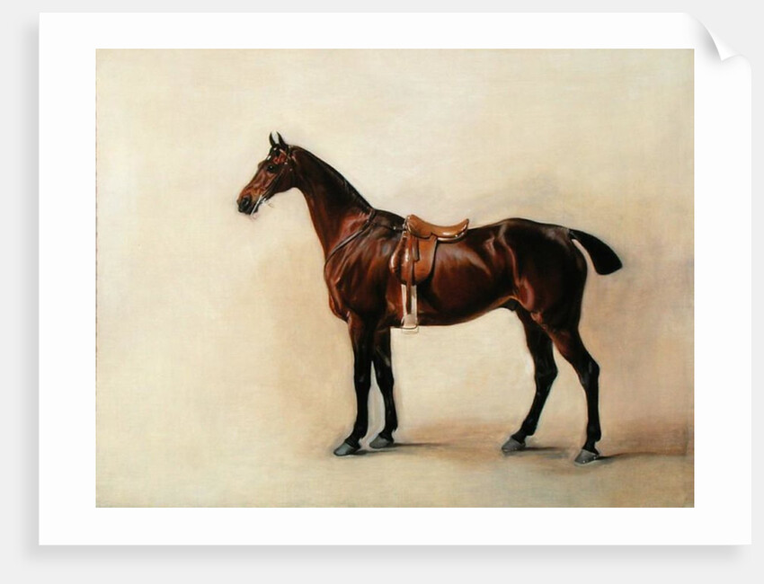 Study of a Saddled Bay Hunter, 1828 by John E. Ferneley