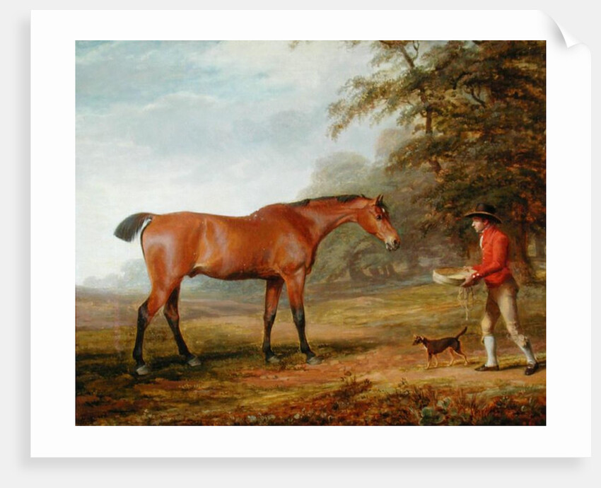A Bay Horse Approached by a Stable-lad with Food and a Halter, 1789 by George Garrard