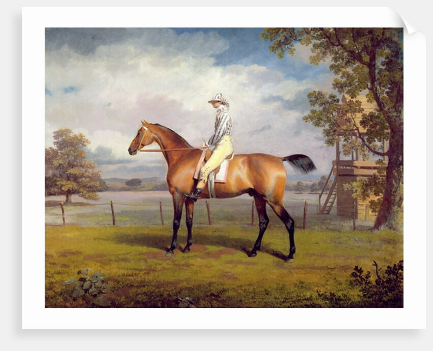 The Duke of Hamilton's Disguise with Jockey Up by George Garrard