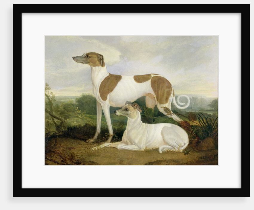 Two Greyhounds in a Landscape by Charles Hancock