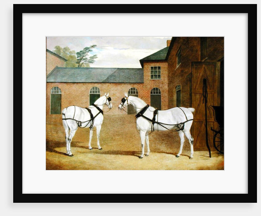 Mr. Sowerby's Grey Carriage Horses in his Coachyard at Putteridge Bury, Hertfordshire, 1836 by John Frederick Herring Snr