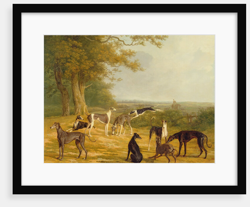 Nine Greyhounds in a Landscape by Jacques-Laurent Agasse