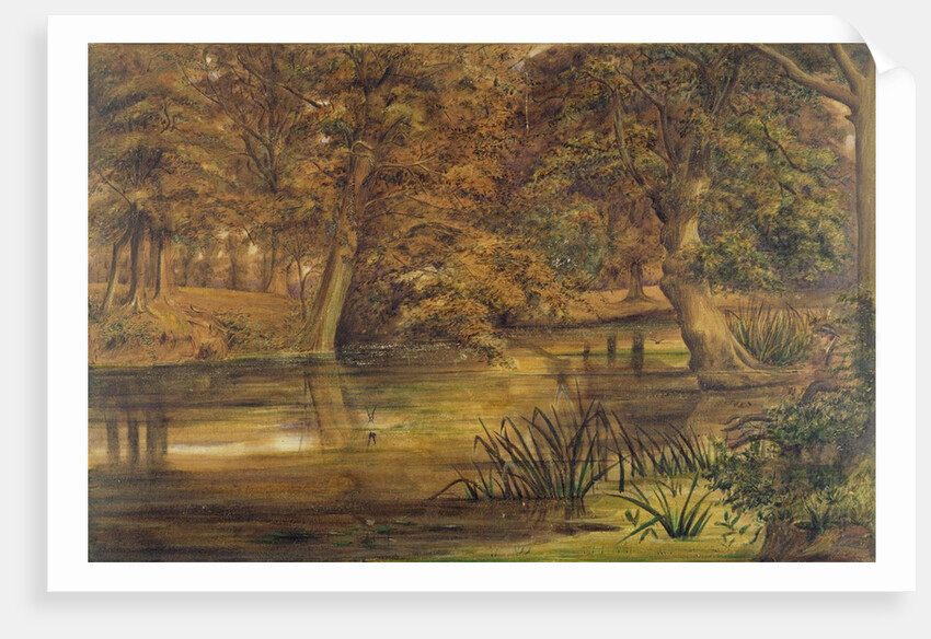 Back Water of the Bratford, 1864 by Edward W. Fitch