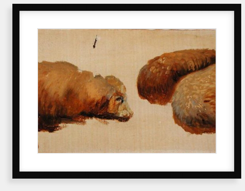 Three Sheep at Rest by Edwin Landseer