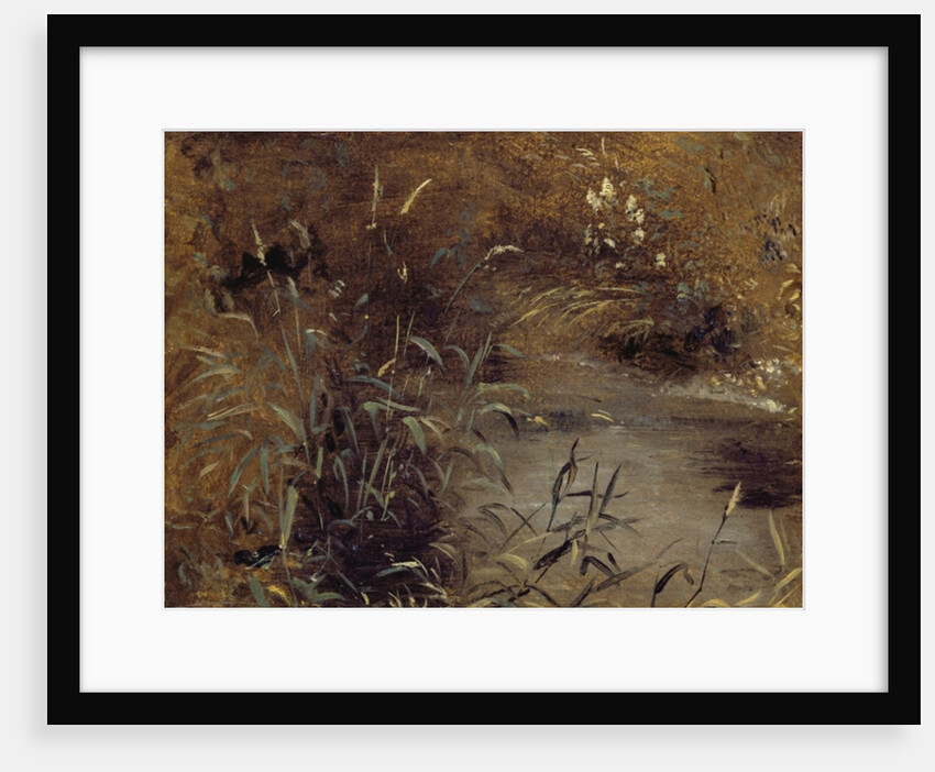 Rushes by a Pool, c.1821 by John Constable