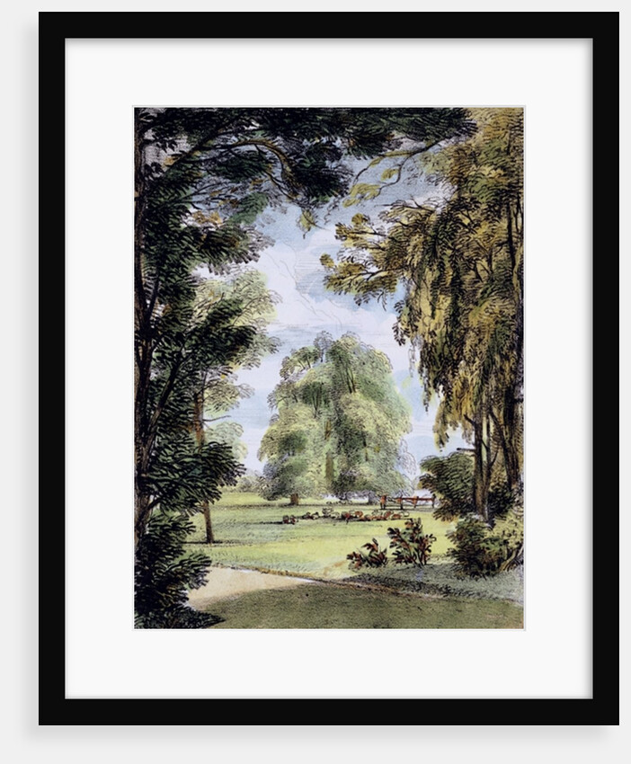 The Sister Trees, Kew Gardens by George Ernest Papendiek