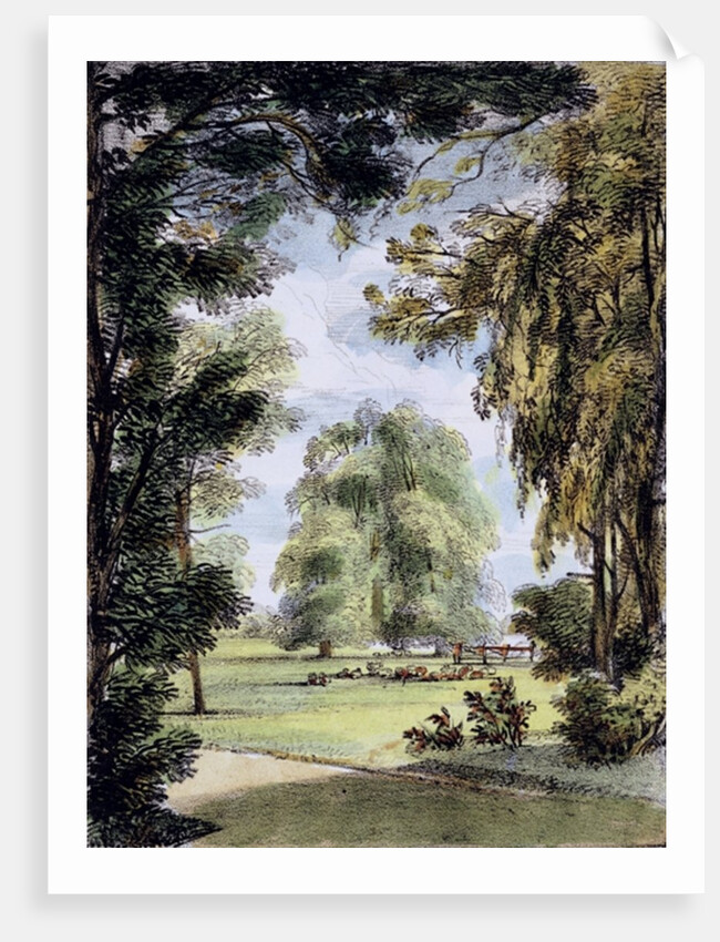 The Sister Trees, Kew Gardens by George Ernest Papendiek