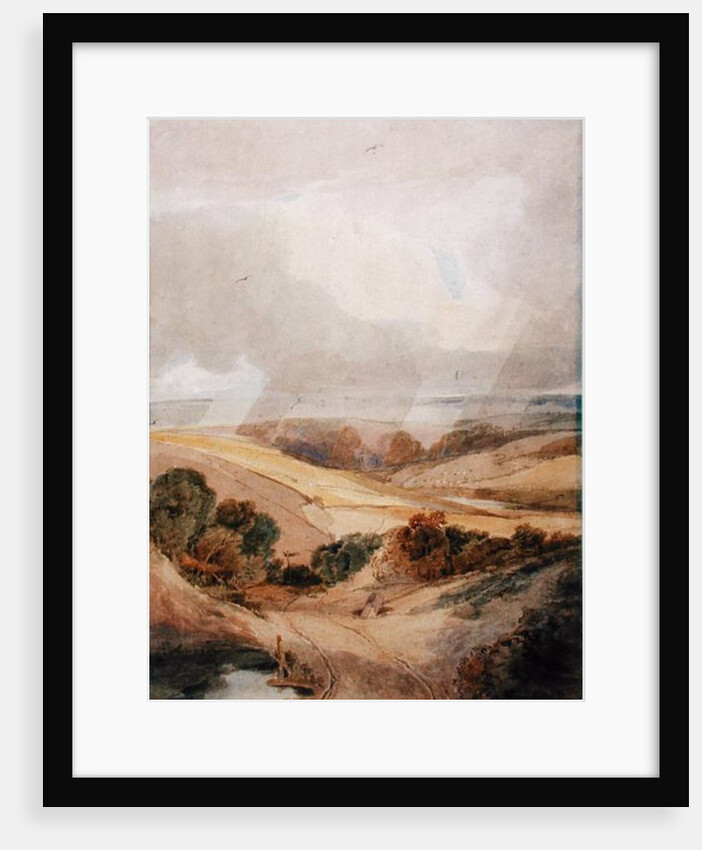 Mousehold Heath, Norwich, 1808 by Francois Louis Thomas Francia