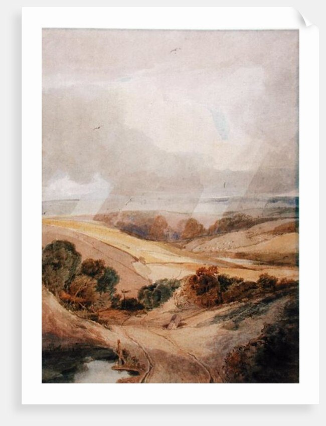 Mousehold Heath, Norwich, 1808 by Francois Louis Thomas Francia