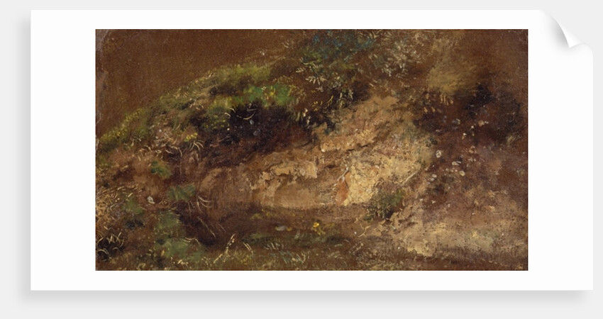 Undergrowth, c.1821 by John Constable