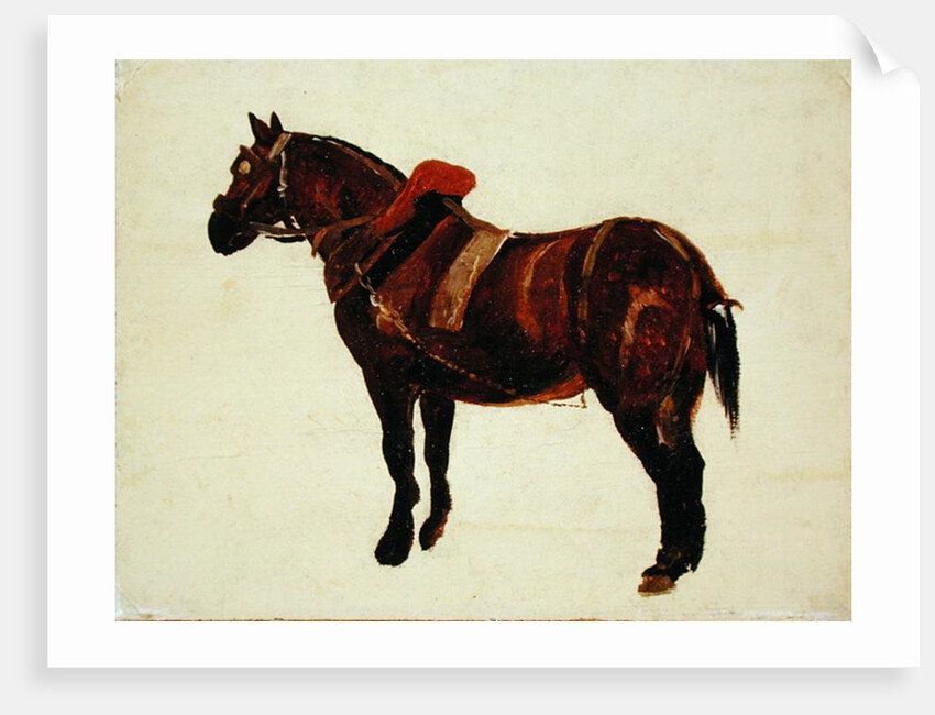 Study of a Working Horse by Thomas Sidney Cooper