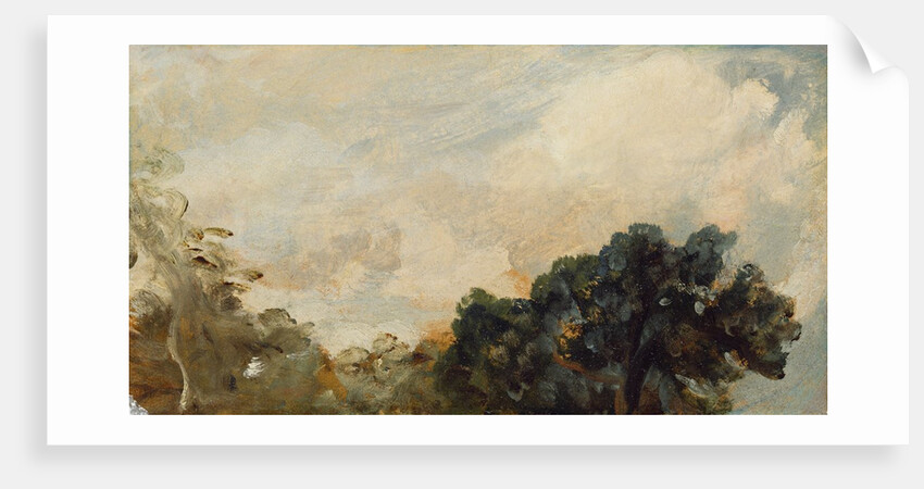 Cloud Study with Trees, 1821 by John Constable