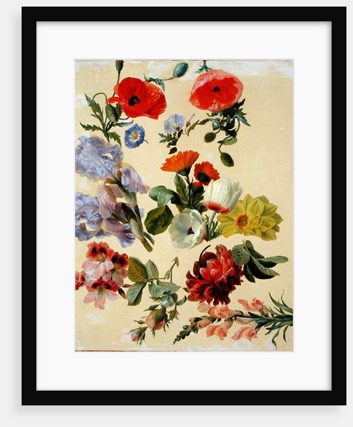 Studies of Summer Flowers by Jacques-Laurent Agasse