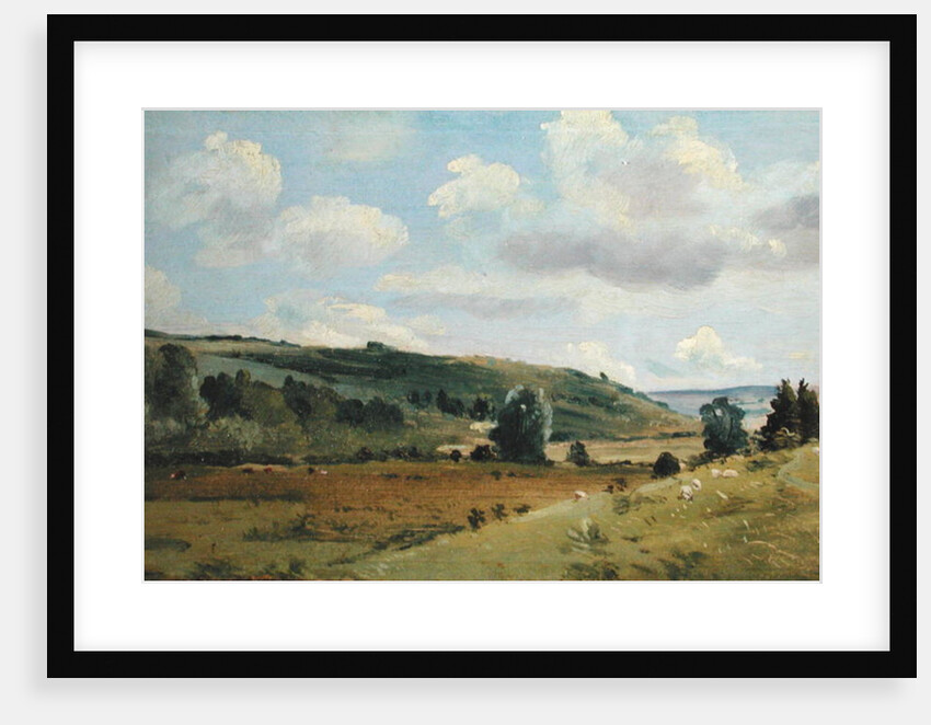 Landscape, c.1849-55 by Lionel Constable