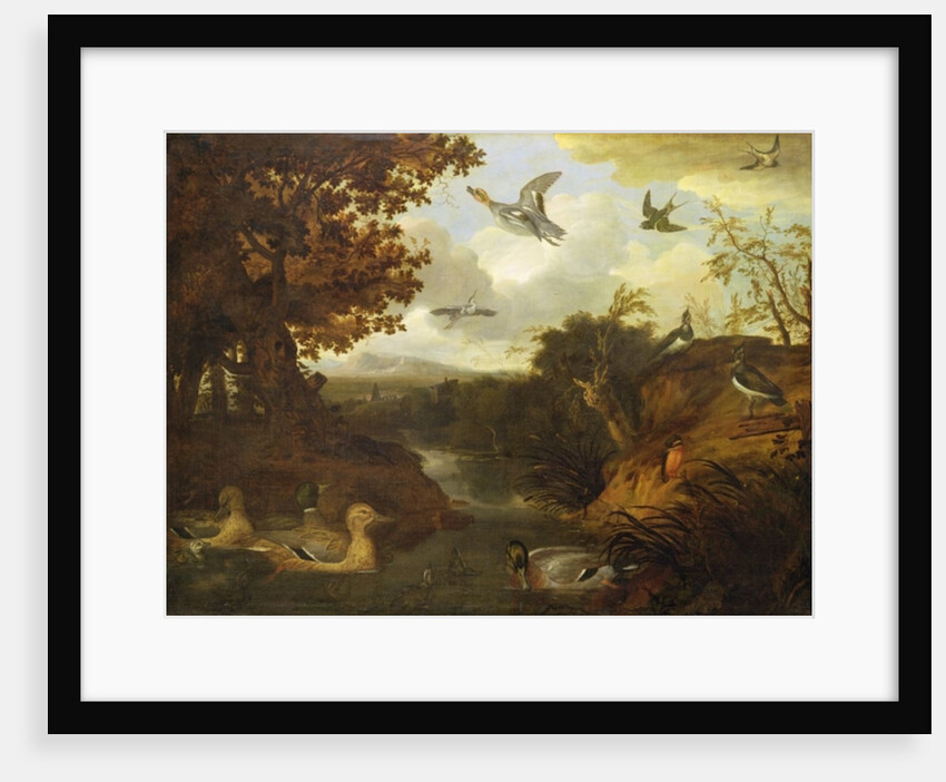 Ducks and other birds about a stream in an Italianate landscape, 1671 by Francis Barlow
