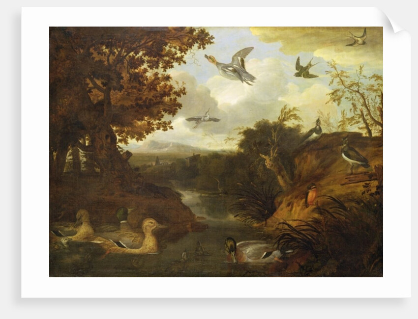 Ducks and other birds about a stream in an Italianate landscape, 1671 by Francis Barlow