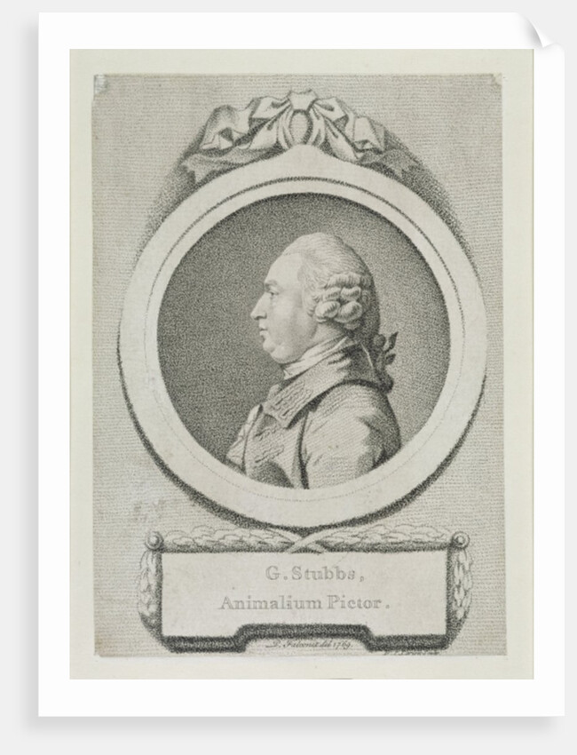 Portrait study of George Stubbs by Pierre-Etienne Falconet