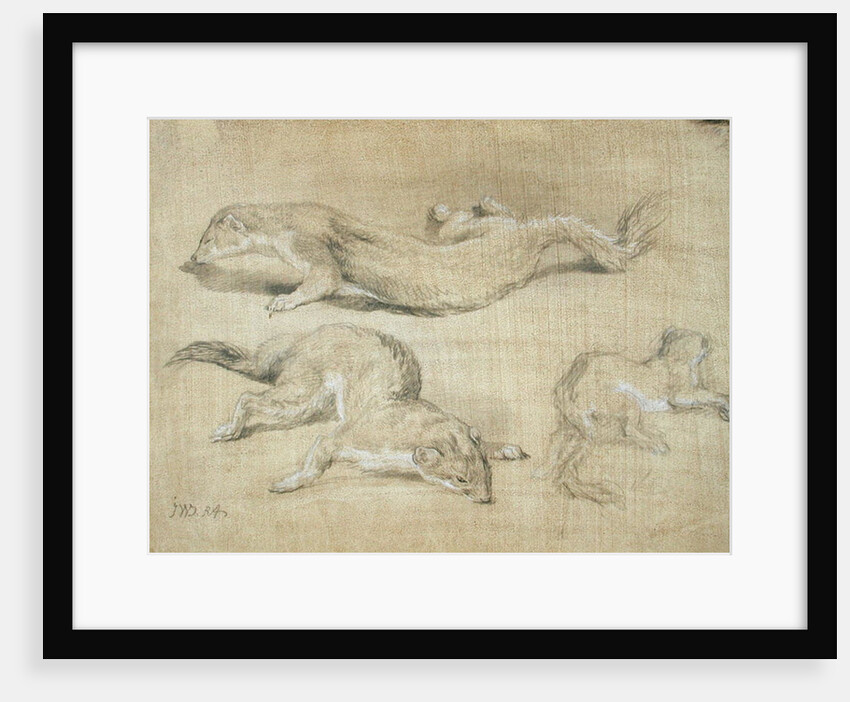 Ferrets by James Ward