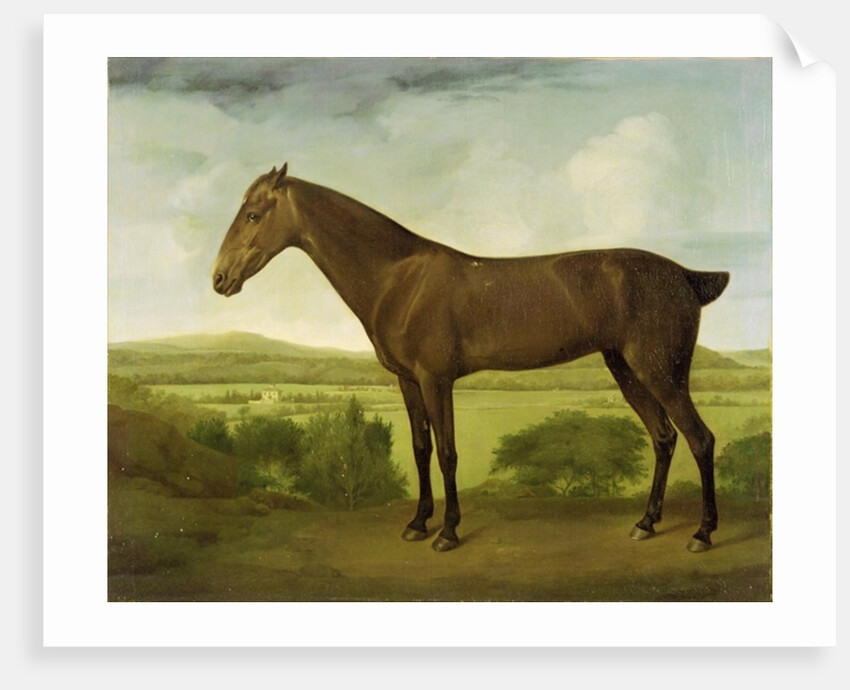 Brown Horse in a Hilly Landscape, c.1780-1800 by English School