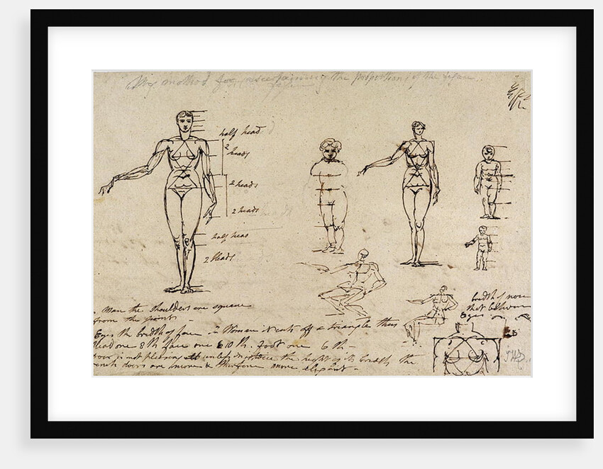 Studies of anatomy with measurements and writing by James Ward